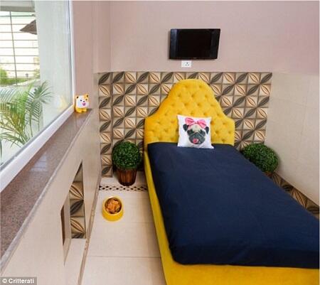 Jangan Sampai Salah Masuk, Ini Hotel Khusus Buat Anjing Gan!