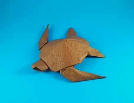 Mengenal Bapak Origami