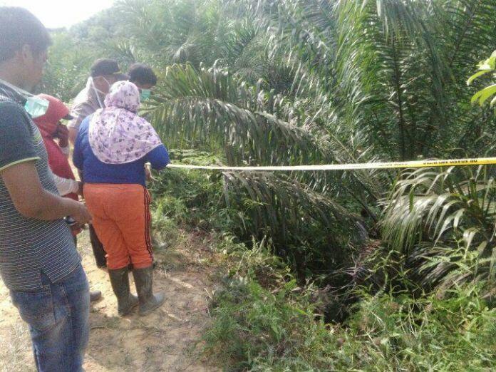 Dua Buronan Pembunuh Sadis di PT TPIL Tebo Ditangkap