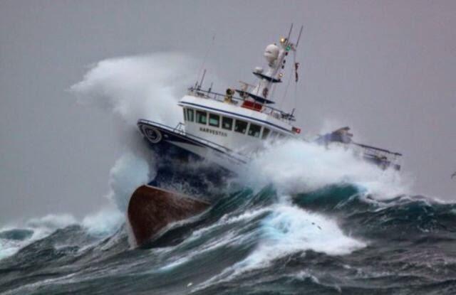 PESAN CINTA DARI LAUT