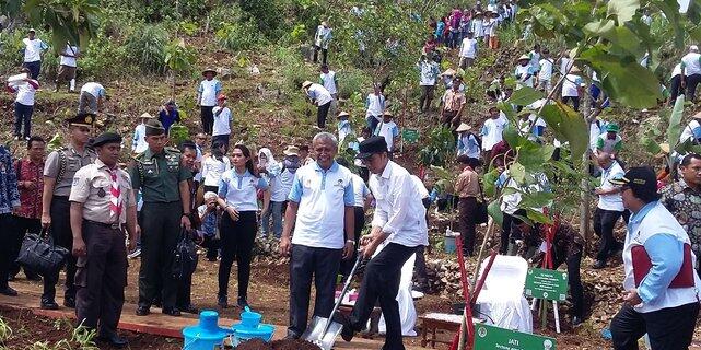 Jokowi sentil soal 'kecurangan' di program penanaman pohon Kementerian LHK