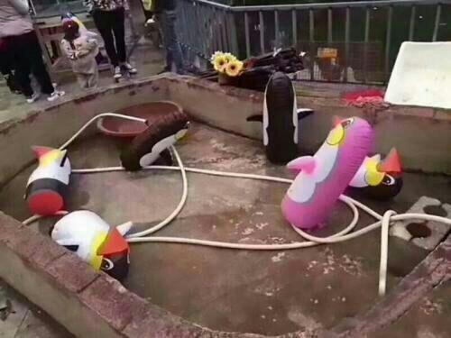 Bonbin di China Tampilkan Penguin Balon, PengunjungNgamuk