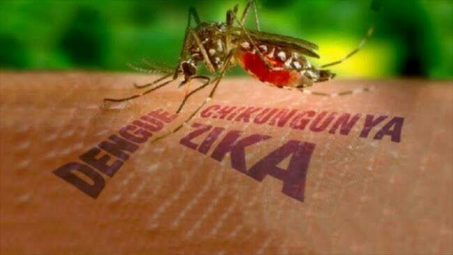 Nyamuk Emang Suka Bikin Ngamuk! 