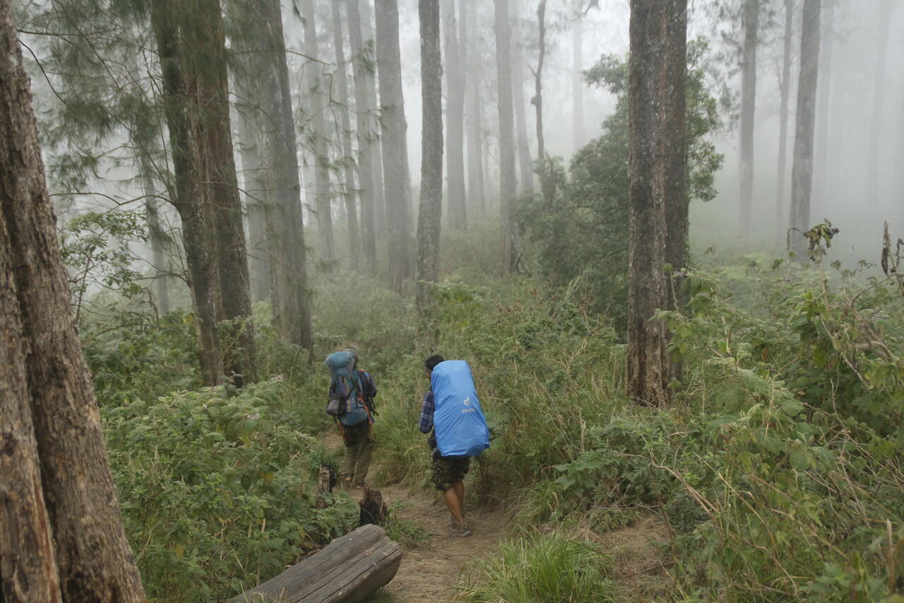 Backpacker ke Gunung Tambora 