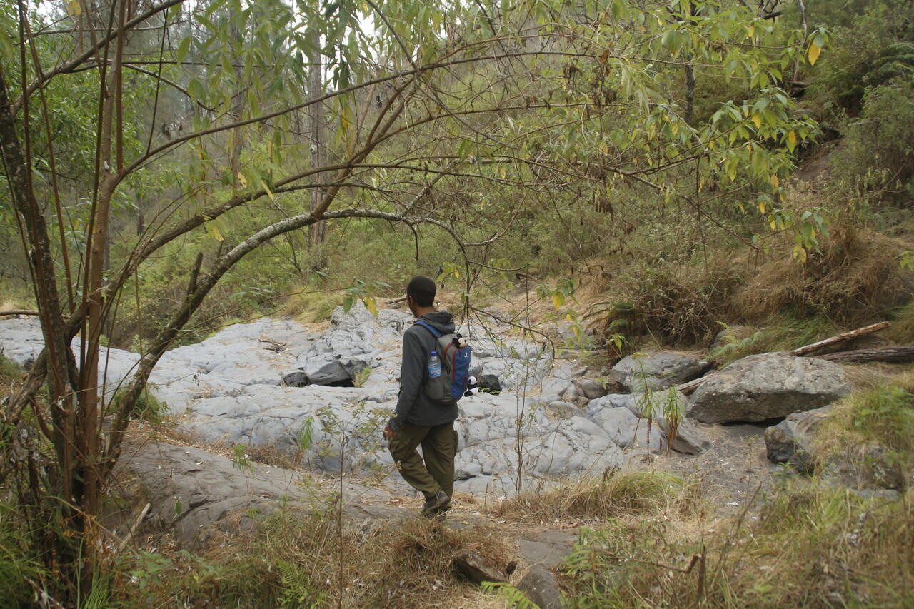 Backpacker ke Gunung Tambora 
