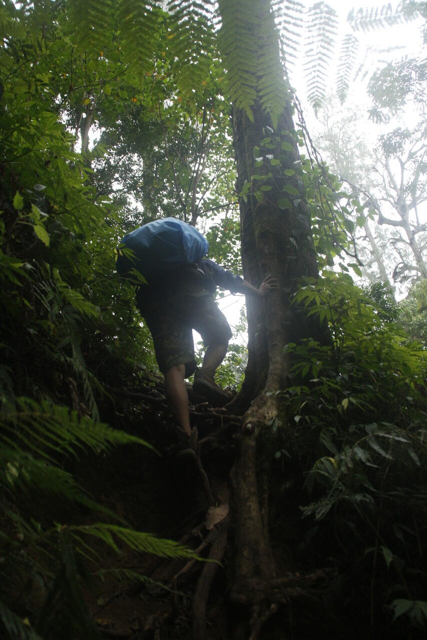 Backpacker ke Gunung Tambora 