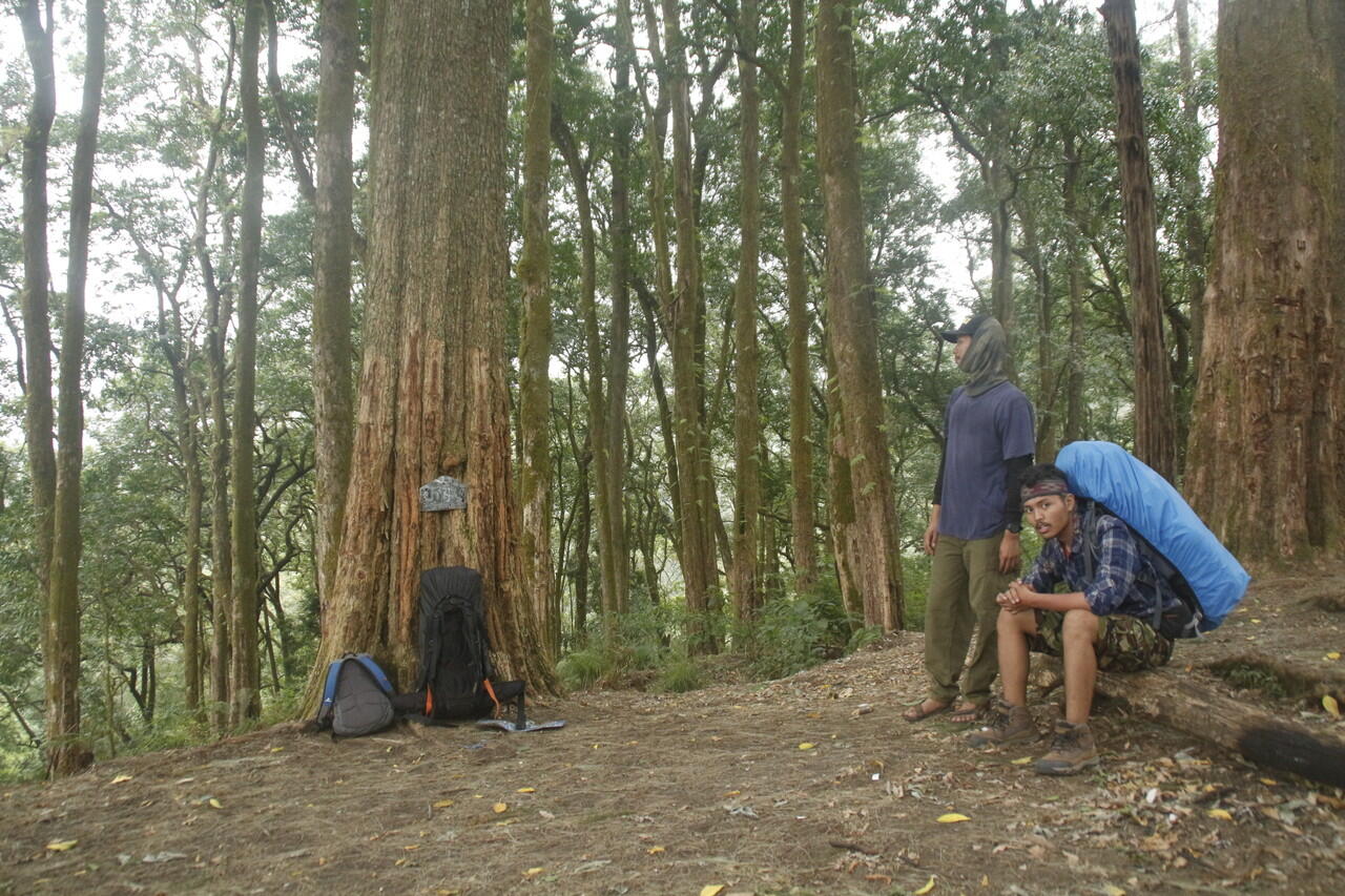 Backpacker ke Gunung Tambora 