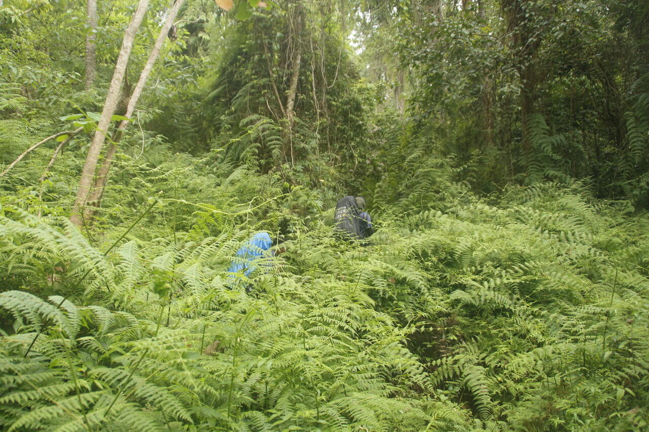 Backpacker ke Gunung Tambora 