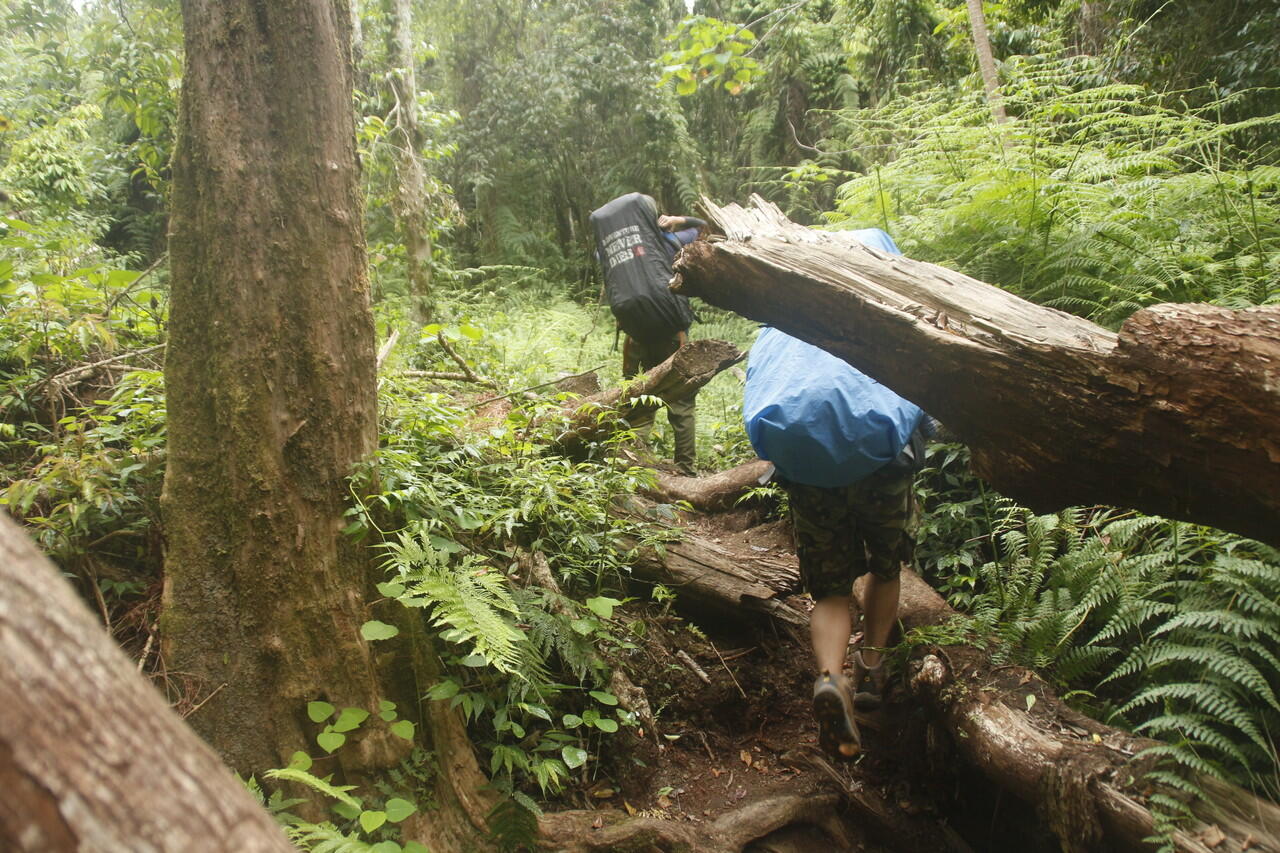 Backpacker ke Gunung Tambora 