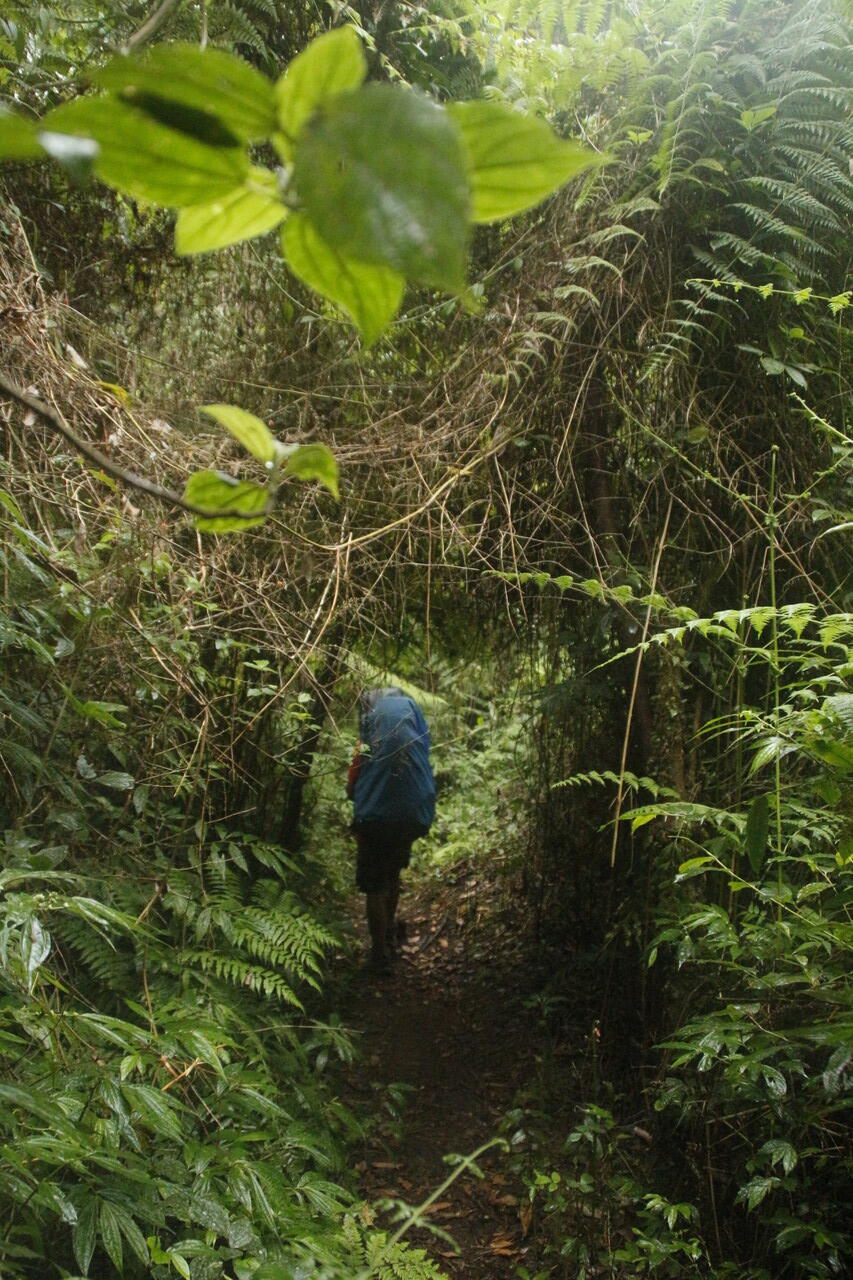 Backpacker ke Gunung Tambora 