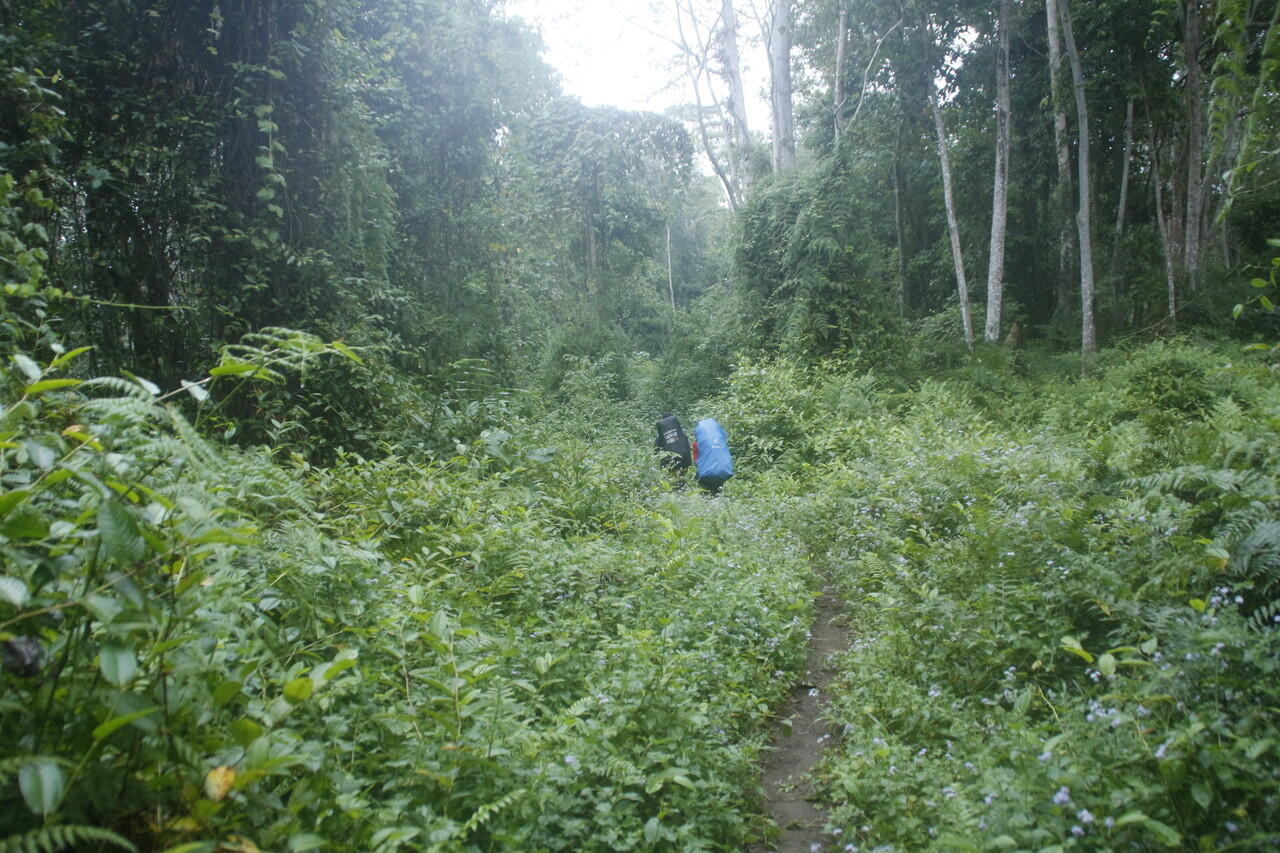 Backpacker ke Gunung Tambora 