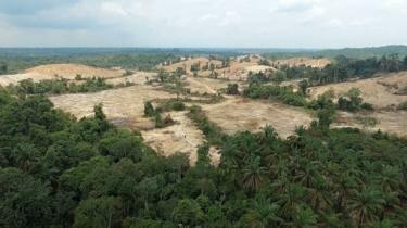 Orang Rimba masuk Islam demi KTP