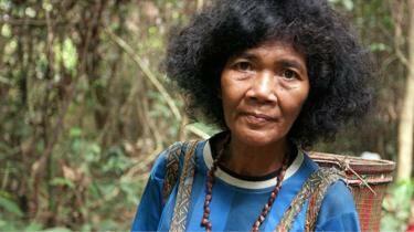 Orang Rimba masuk Islam demi KTP