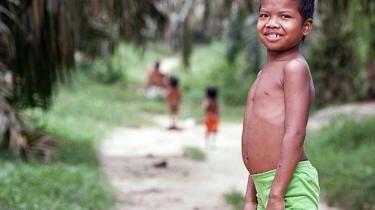 Orang Rimba masuk Islam demi KTP