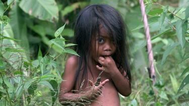 Orang Rimba masuk Islam demi KTP