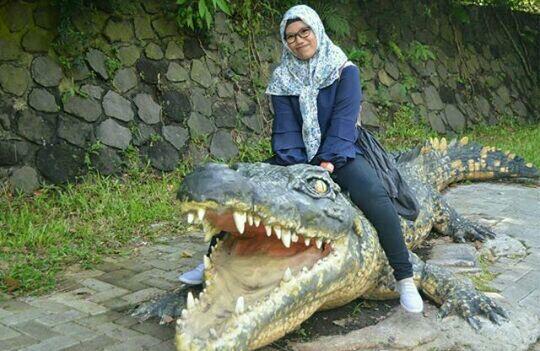 Unik! Hidup Bersama Buaya Selama Puluhan Tahun