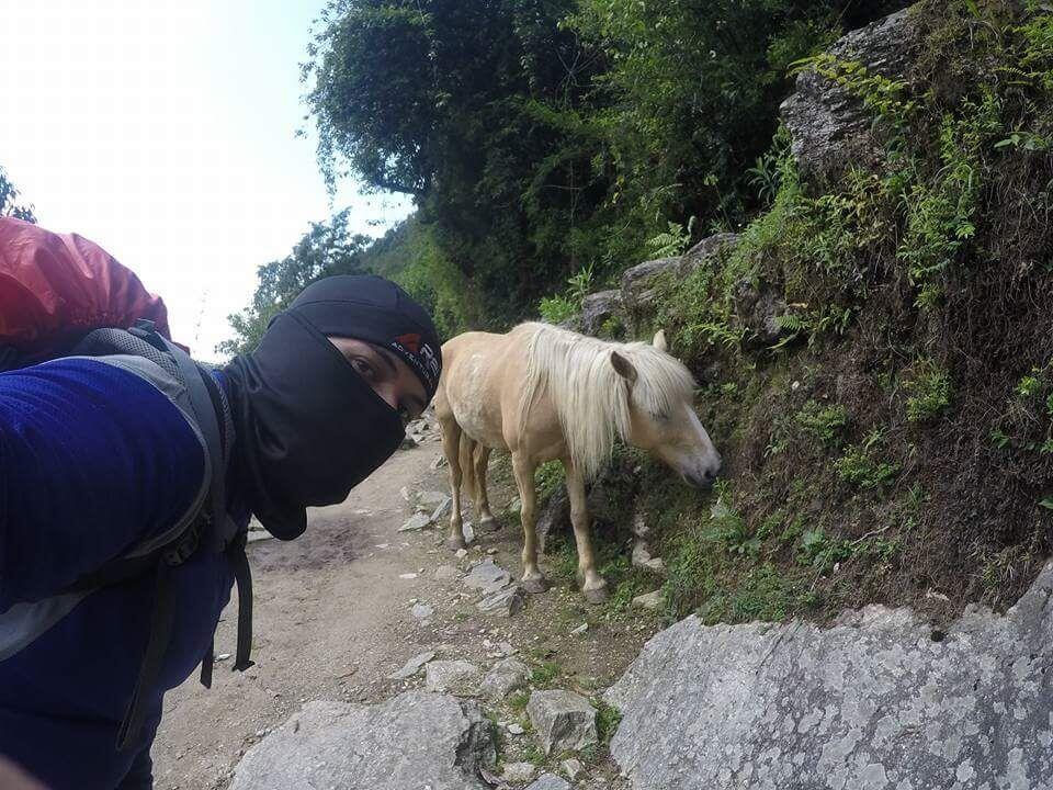 Trekking ke Poon Hill Himalaya,Nepal