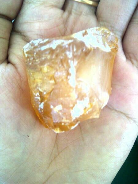 Mengenal Obat-obatan Dayak (Wajib Baca Yang Belum Tau)