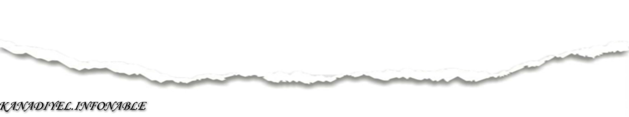 Binatang Yang Diketahui Sebagai Hewan Maniak Sekss (Boleh Juga)