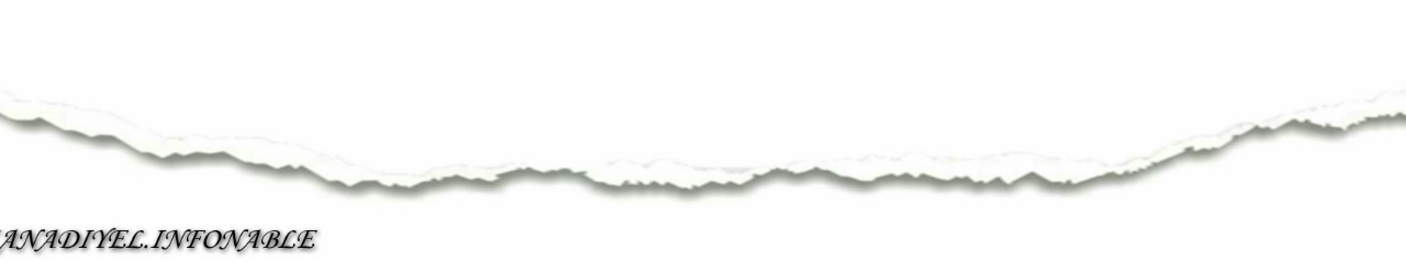 Binatang Yang Diketahui Sebagai Hewan Maniak Sekss (Boleh Juga)