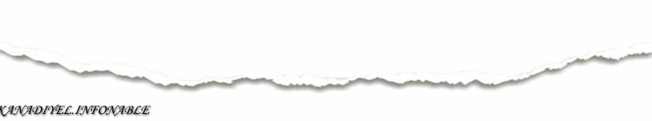 Binatang Yang Diketahui Sebagai Hewan Maniak Sekss (Boleh Juga)