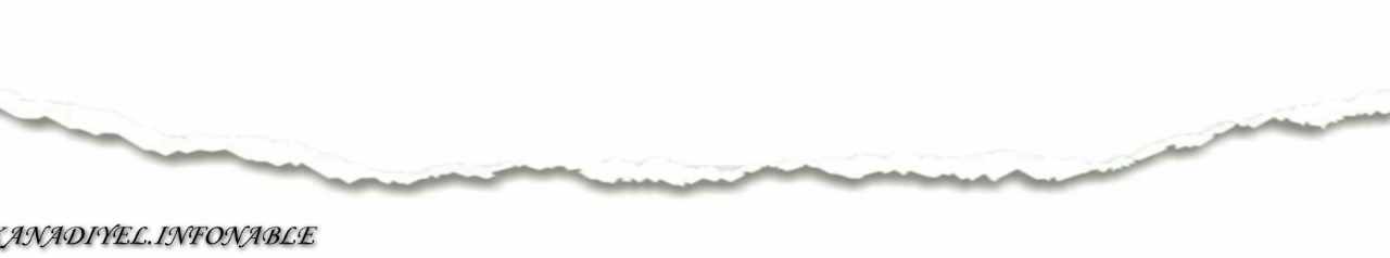 Binatang Yang Diketahui Sebagai Hewan Maniak Sekss (Boleh Juga)