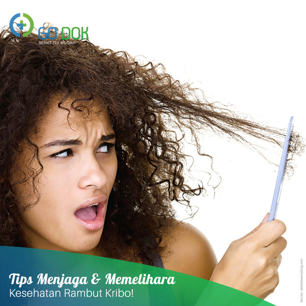 Tips Menjaga Serta Memelihara Kesehatan Rambut Kribo KASKUS