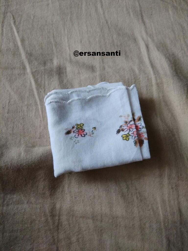 Berhemat (Gaya Hidup Minimalis) sebagai Hobi