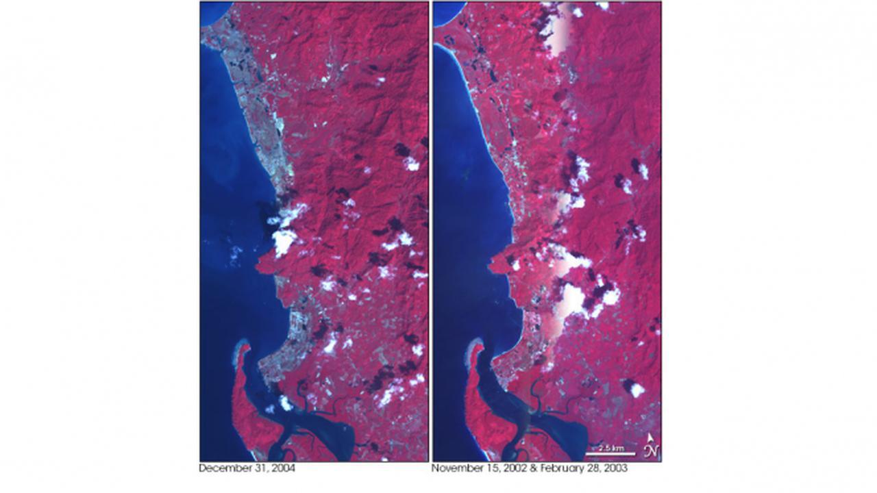 3 Kisah Horor yang Dikaitkan dengan Bencana Gempa Bumi