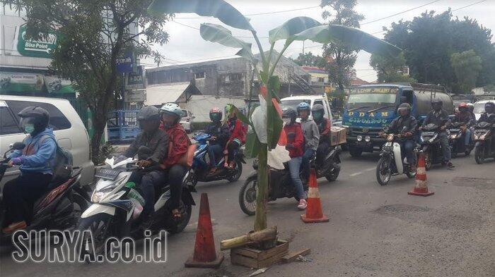 Kejengkelan Memuncak, Warga 'Tanam' Pohon Pisang di Jalan A Yani Gedangan