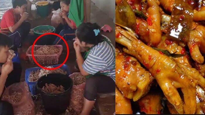 Videonya Viral, Masih Mau Makan Ceker Ayam Kalau Cara Masaknya Seperti ini ?
