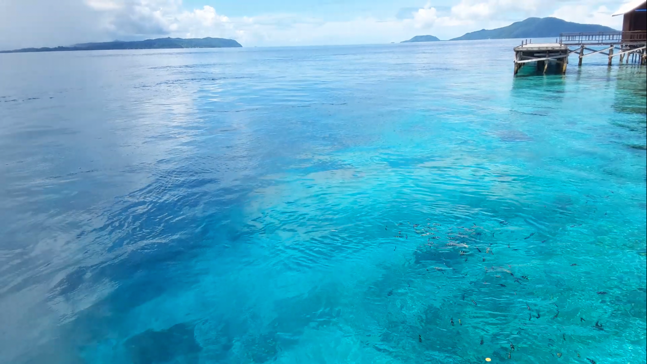 Hobi Ane Traveling Gratis Keliling Indonesia.. Mau Tau Serunya?