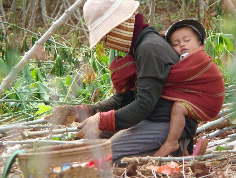 &#91;HBD2FORSIS&#93; 4 Hal kenapa, ane selalu kangen Masakan Ibu ?