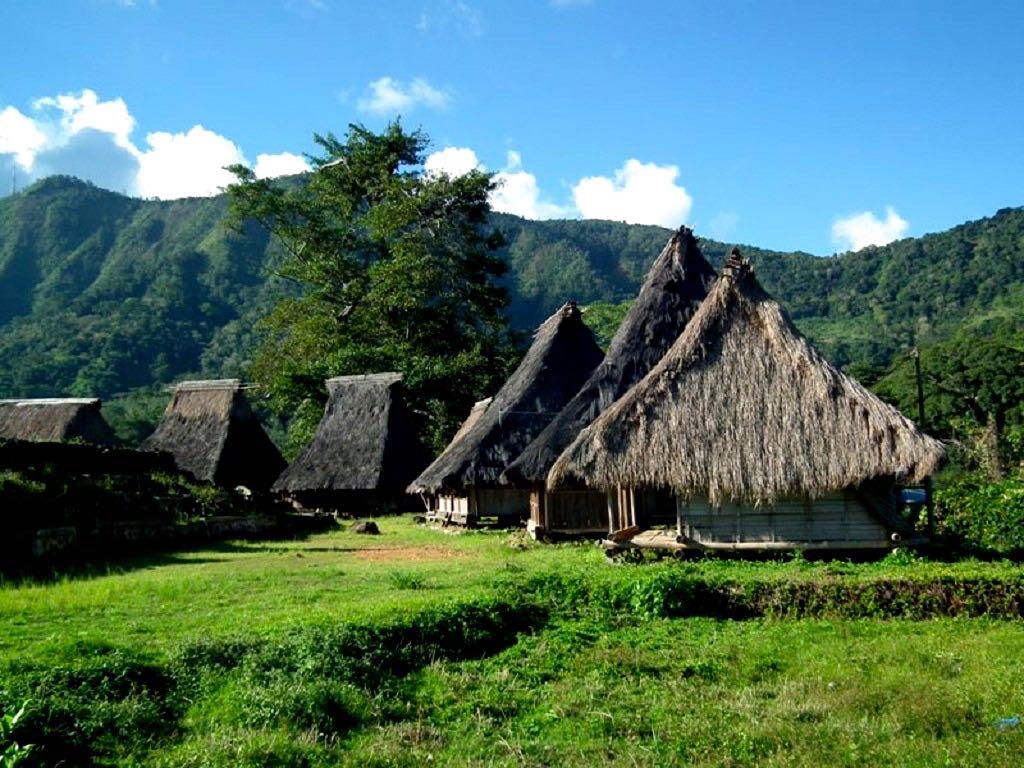 Wologai, Kampung Adat yang Telah Berusia 800 Tahun