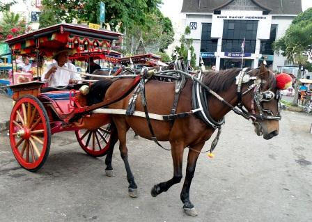 Delman, Transportasi kota yang terlupakan jaman Now.