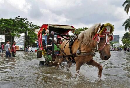 Delman, Transportasi kota yang terlupakan jaman Now.