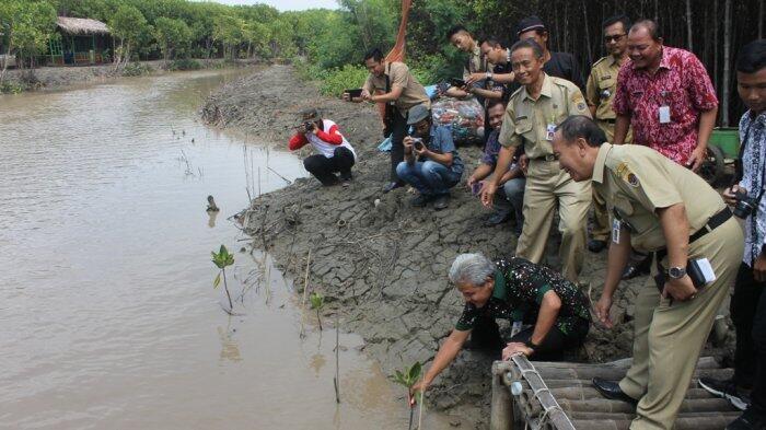 Ganjar Minta Ekowisata Mangrove Kaliwlingi Dikelola seperti Umbul Ponggok