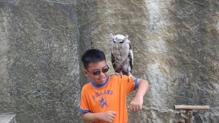 Wahana Foto Bareng Burung Hantu di Tebing Breksi Menarik Minat Pengunjung