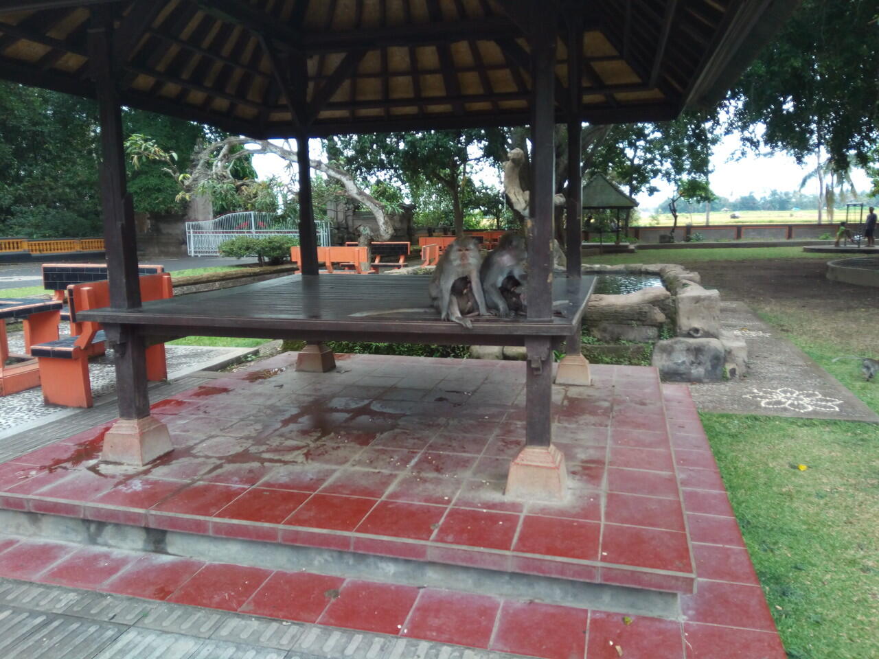 #KASKUStravelstory Perjalanan ke Pulau Dewata Bali