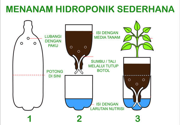 &#91;EVENT LINGKUNGAN&#93; Yuk Nyumbang Oksigen Dengan Cara Ini