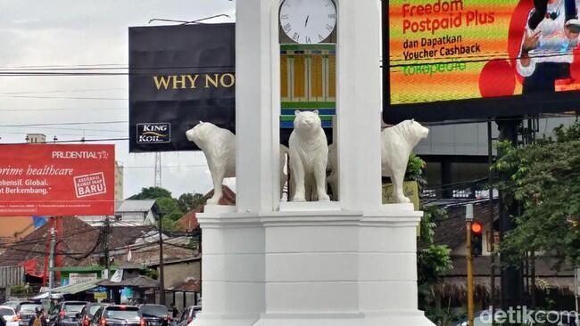 Potret Maung yang Mirip Anjing Laut di 3 Lokasi di Bandung