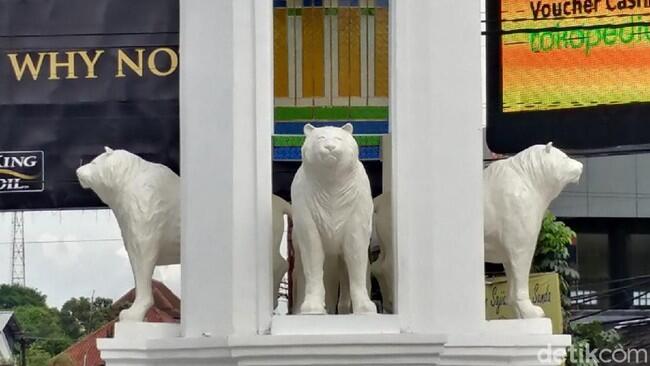 Potret Maung yang Mirip Anjing Laut di 3 Lokasi di Bandung