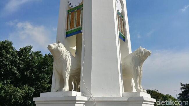 Potret Maung yang Mirip Anjing Laut di 3 Lokasi di Bandung