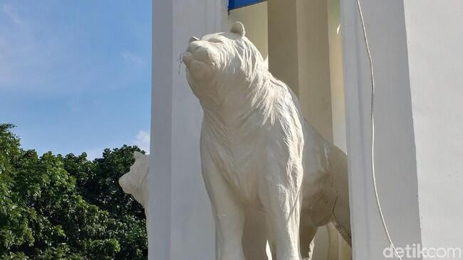 Potret Maung yang Mirip Anjing Laut di 3 Lokasi di Bandung