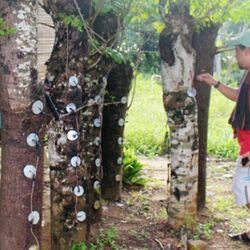 &#91;Event Lingkungan&#93; Listrik Teknologi Ramah Lingkungan Di Masa Depan