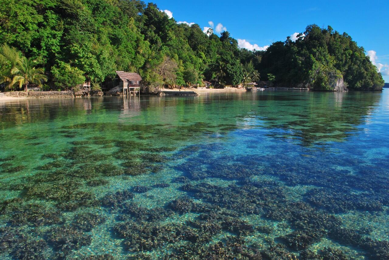 Tujuh Taman Nasional Laut Indonesia Berpadu dalam Satu Buku