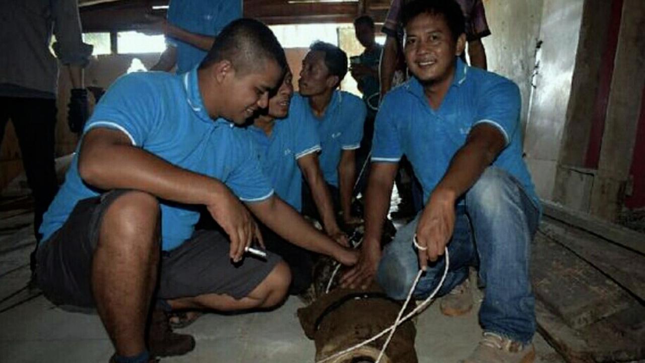 Warga Riau Beli Rumah Dapat Bonus Buaya Kelaparan