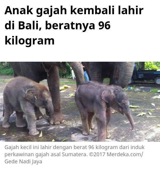 Kisah Heroik Seorang Manusia yang Menggendong Anak Gajah