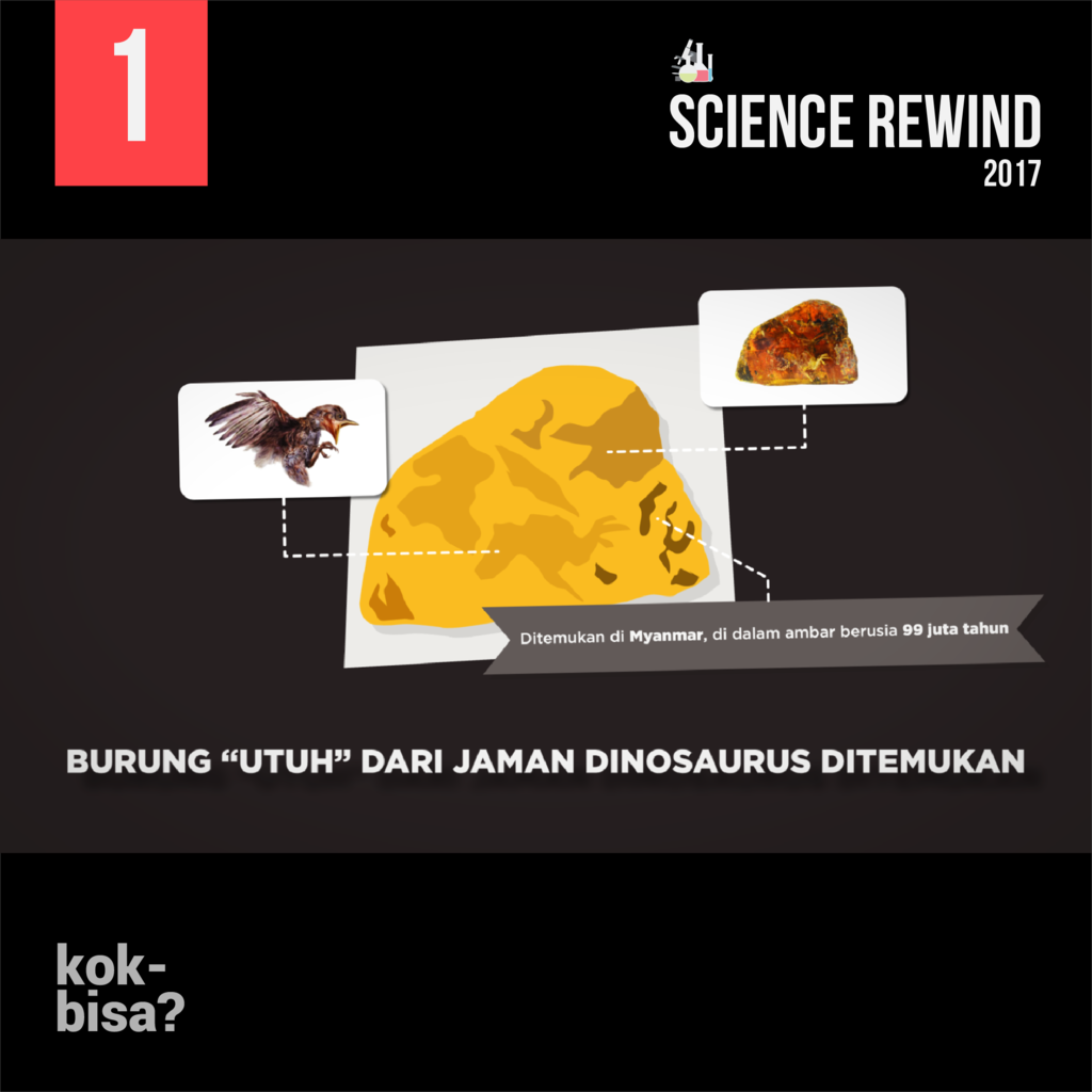 Science Rewind : Kejadian dan Inovasi Sains Pada Tahun 2017 *Explained with Animation