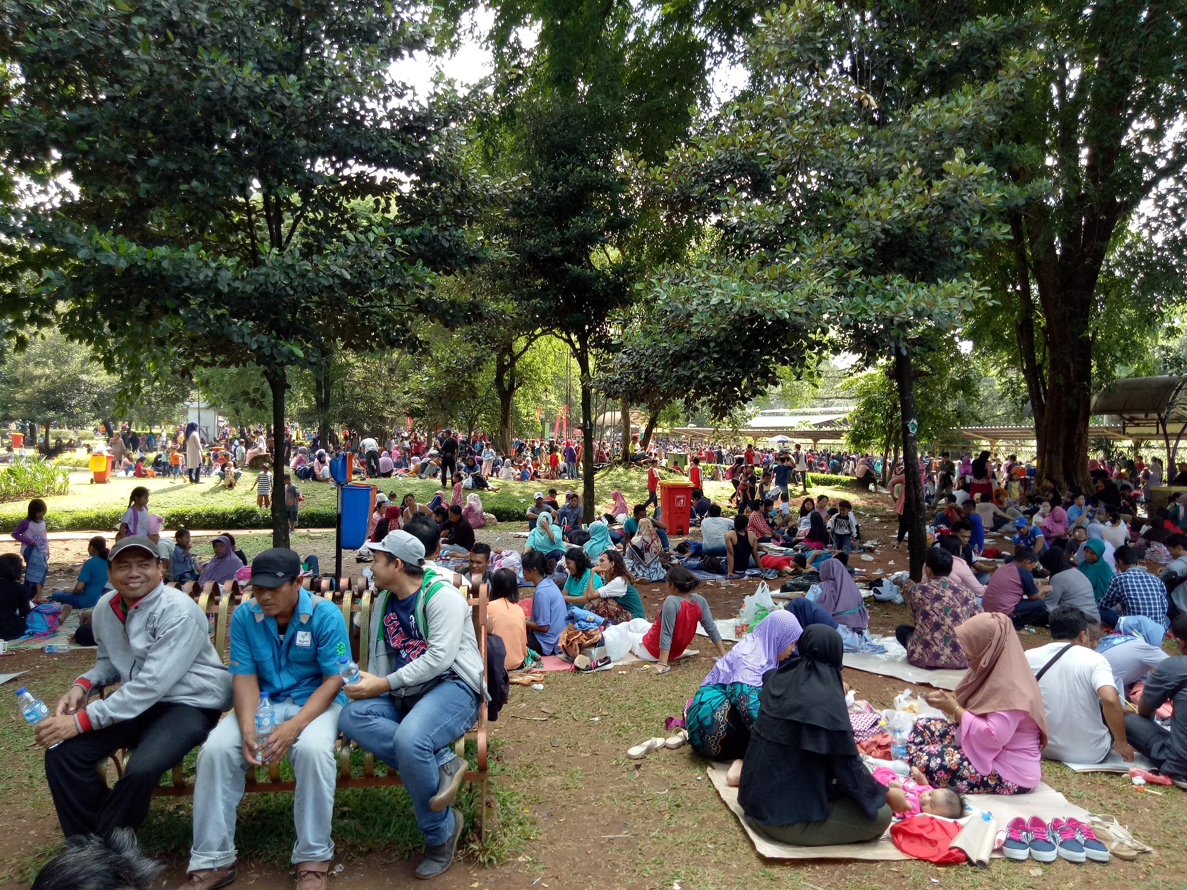 15 Anak Dilaporkan Hilang di Ragunan